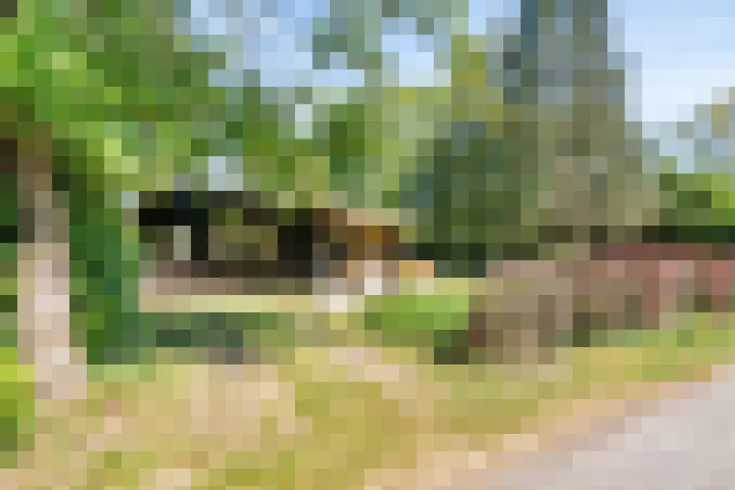 Kievit 12 b 367 Baarle-Nassau thumbnail 24