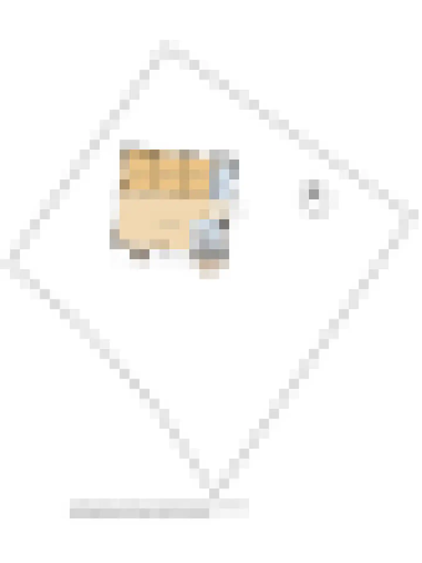 Kievit 12 b 367 Baarle-Nassau thumbnail 27