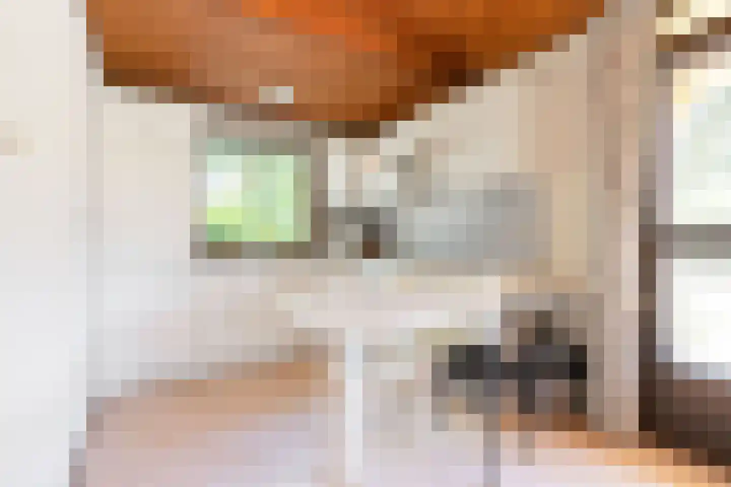 Kievit 12 b 367 Baarle-Nassau thumbnail 9