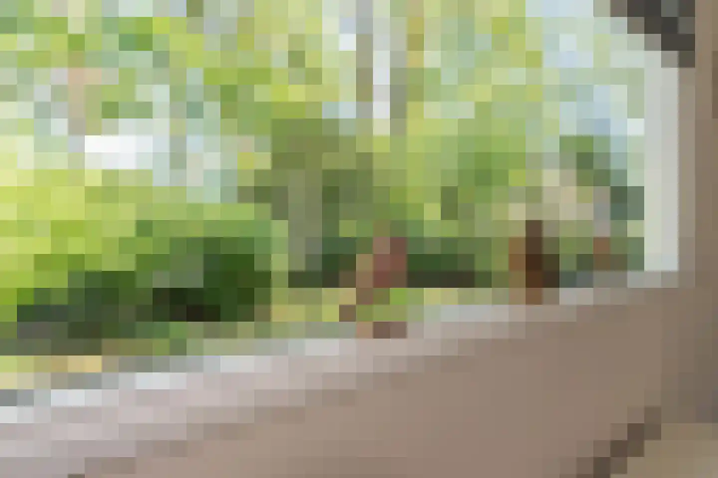 Kievit 12 b 369 Baarle-Nassau thumbnail 12