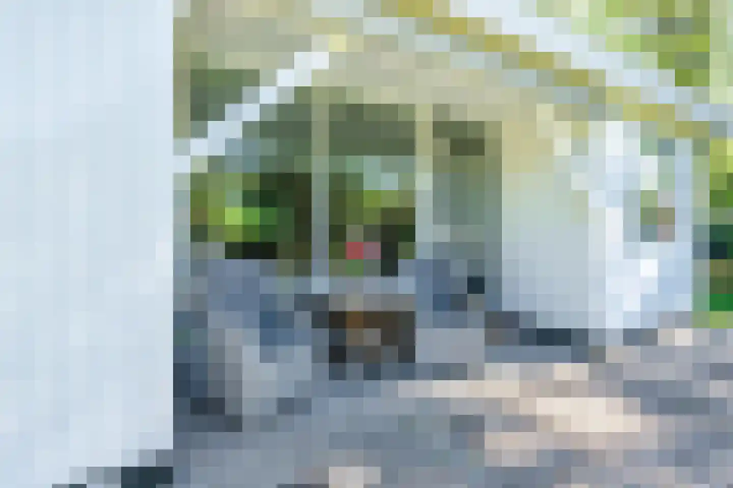 Kievit 12 b 369 Baarle-Nassau thumbnail 19