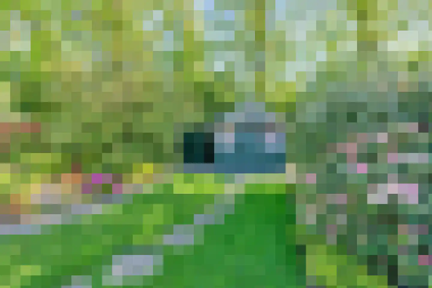 Kievit 12 b 369 Baarle-Nassau thumbnail 23