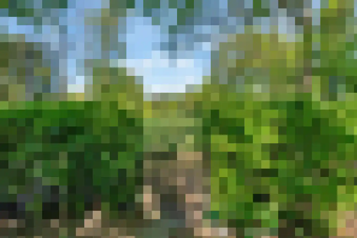 Kievit 12 b 369 Baarle-Nassau thumbnail 26
