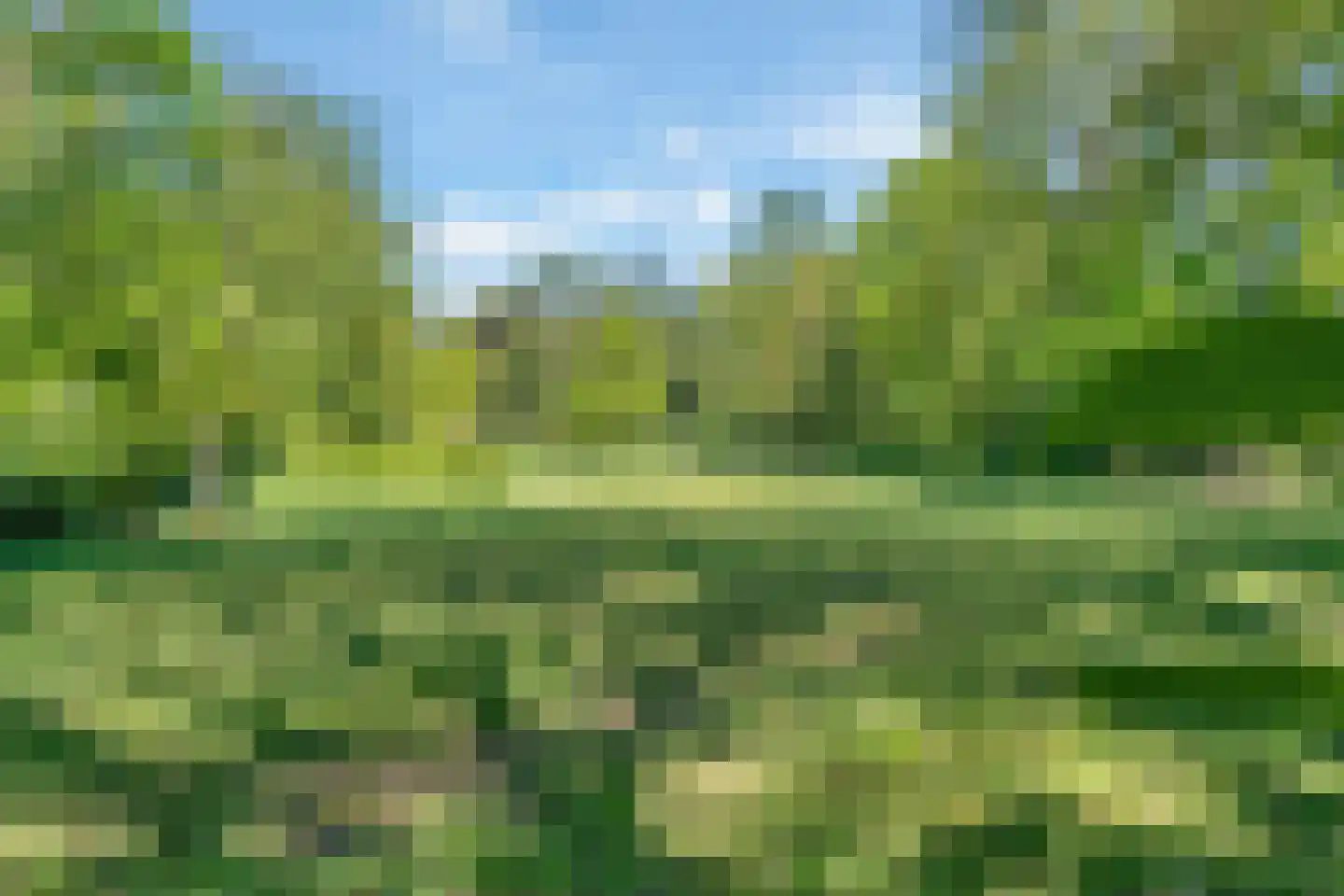 Kievit 12 b 369 Baarle-Nassau thumbnail 27