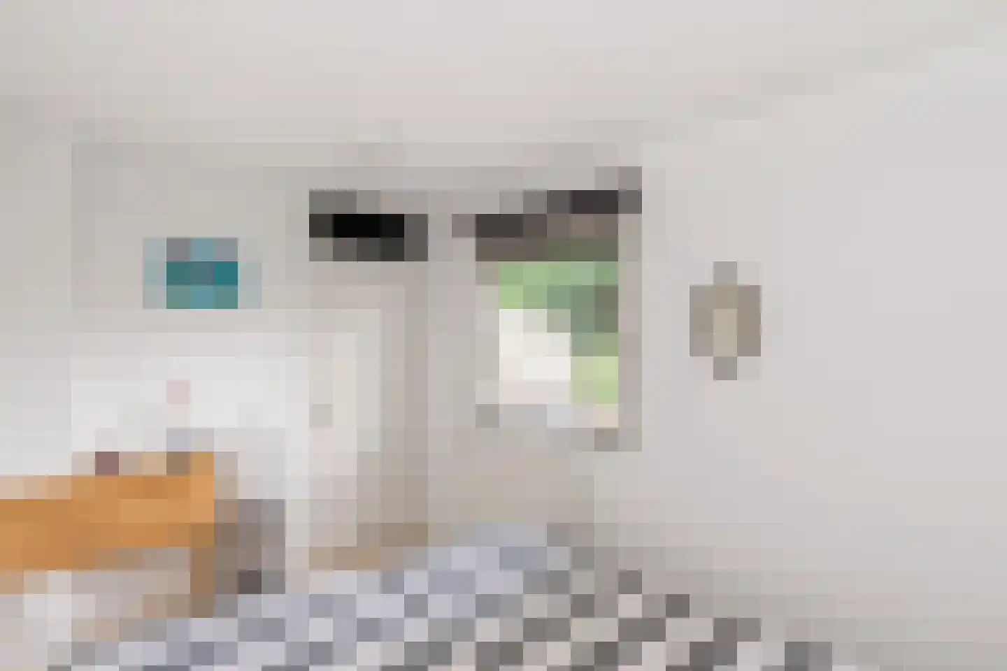 Kievit 12 b 371 Baarle-Nassau thumbnail 12