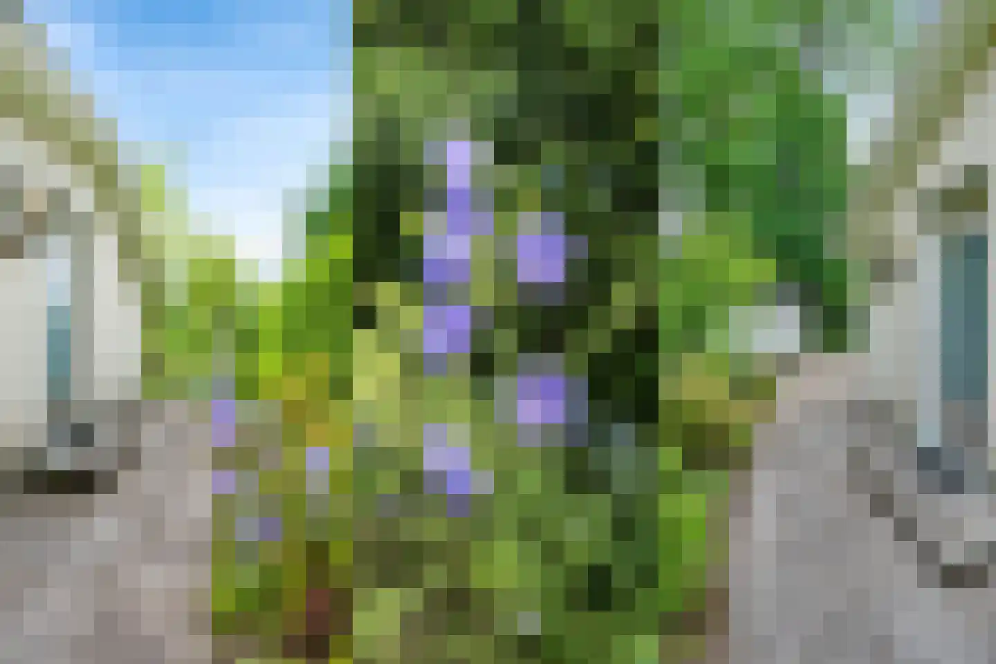 Kievit 12 b 371 Baarle-Nassau thumbnail 15