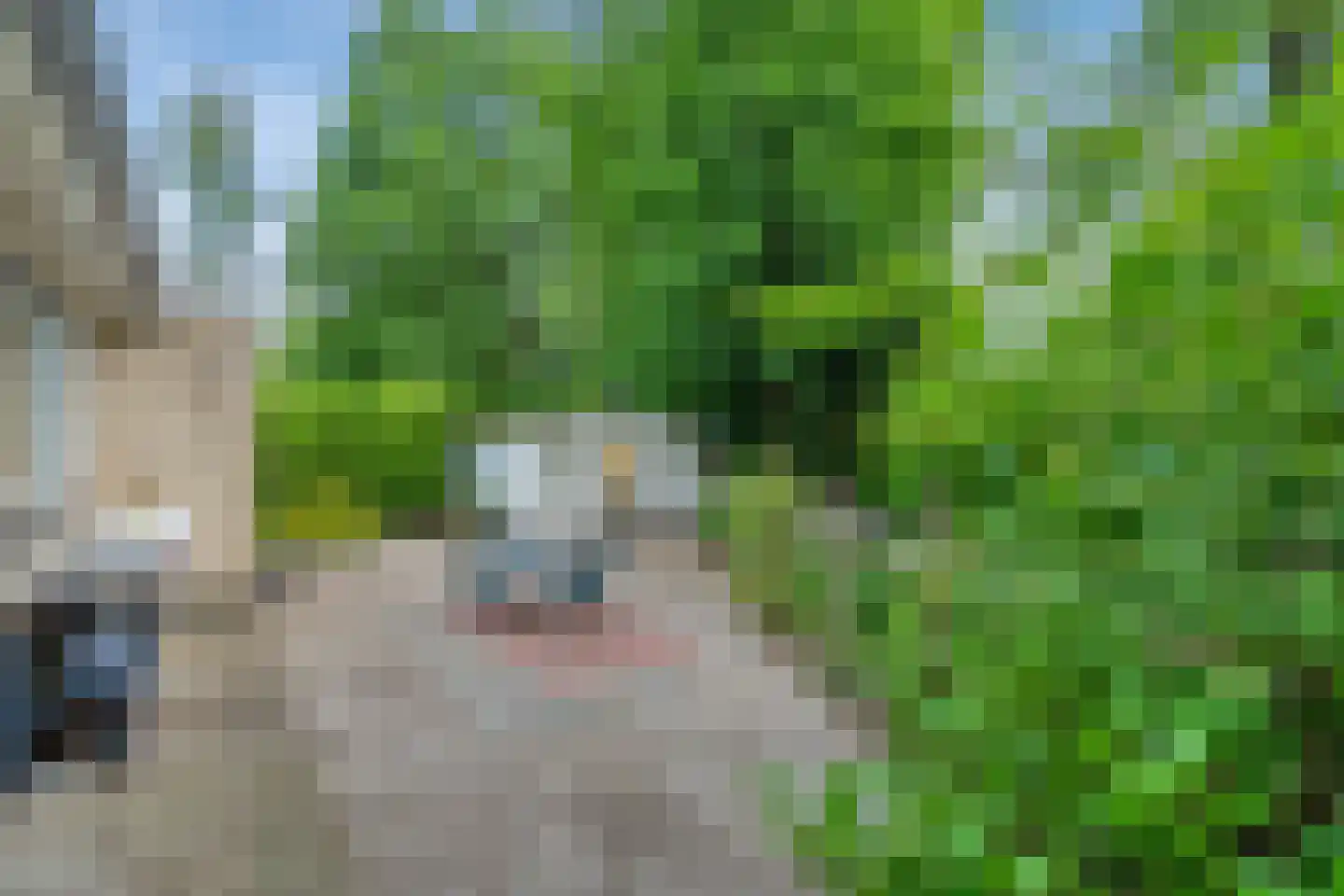 Kievit 12 b 371 Baarle-Nassau thumbnail 16