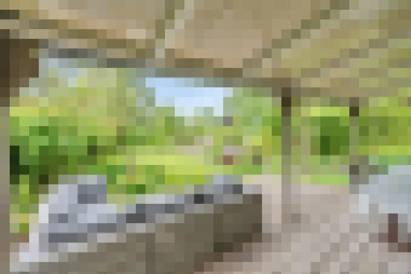Kievit 12 b 371 Baarle-Nassau thumbnail 19