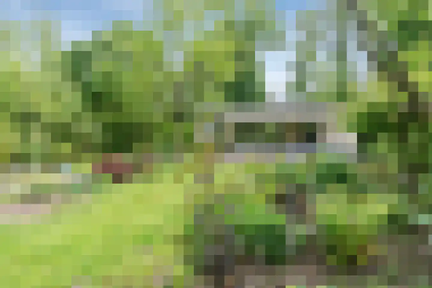 Kievit 12 b 371 Baarle-Nassau thumbnail 20