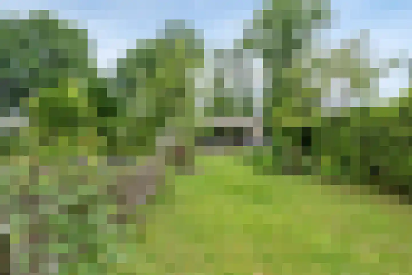 Kievit 12 b 371 Baarle-Nassau thumbnail 22