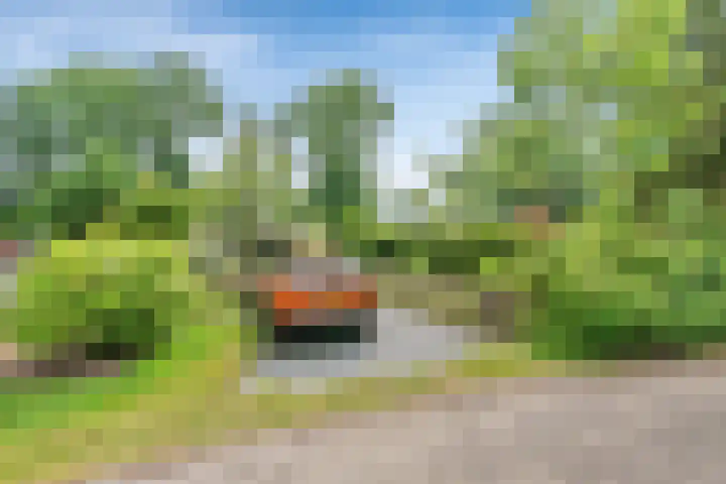 Kievit 12 b 371 Baarle-Nassau thumbnail 23