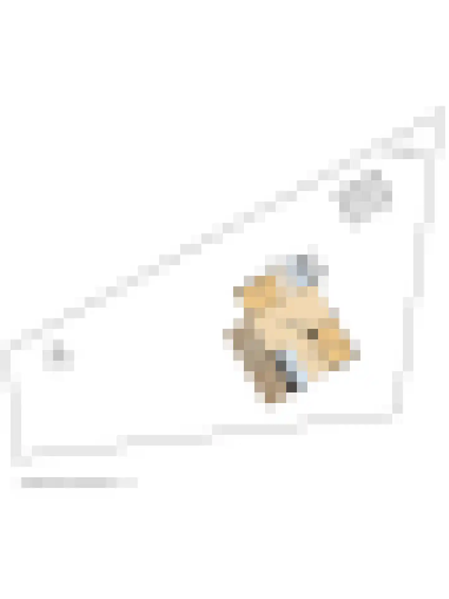 Kievit 12 b 371 Baarle-Nassau thumbnail 26