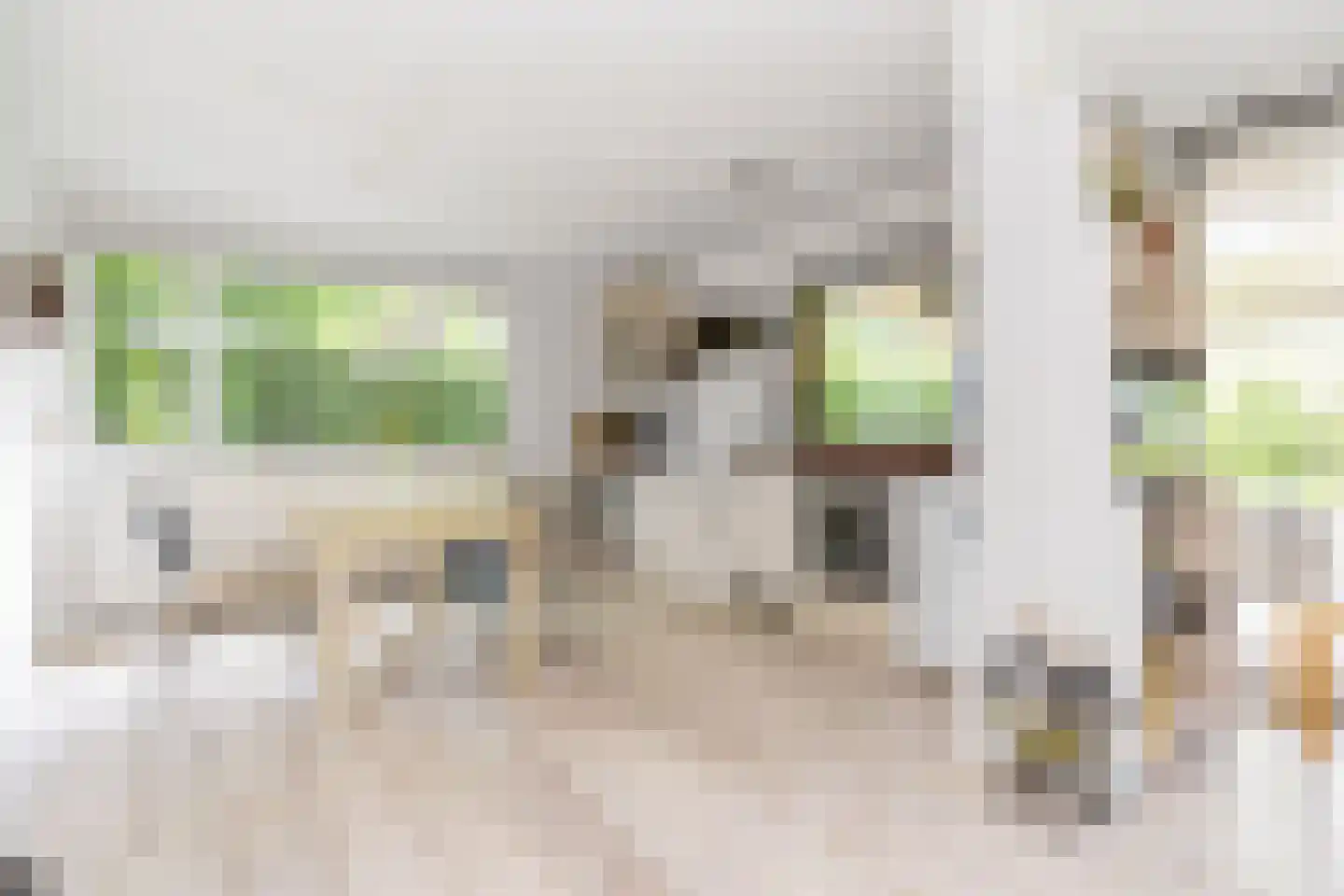 Kievit 12 b 371 Baarle-Nassau thumbnail 9