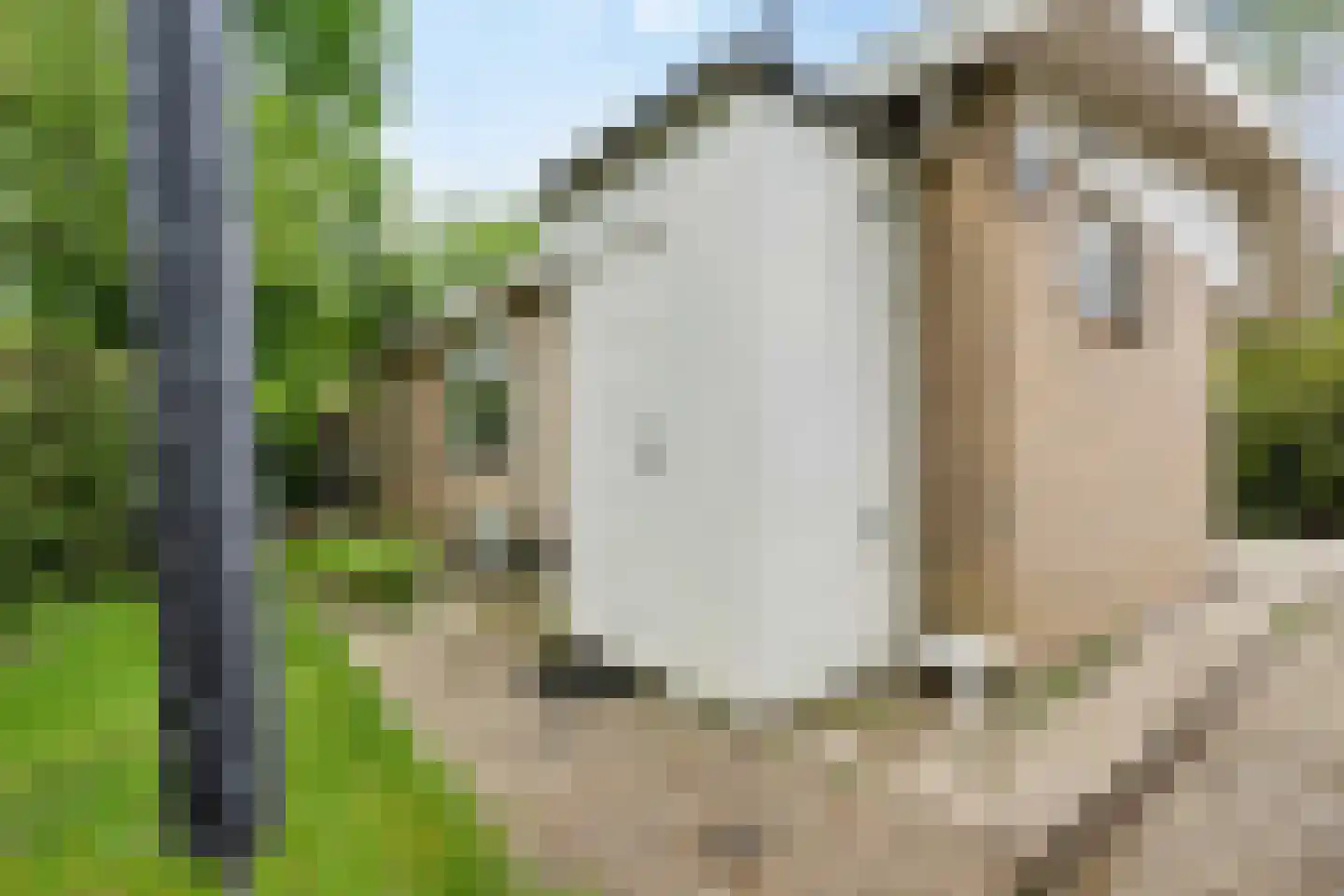 Kievit 12 b 373 Baarle-Nassau thumbnail 15