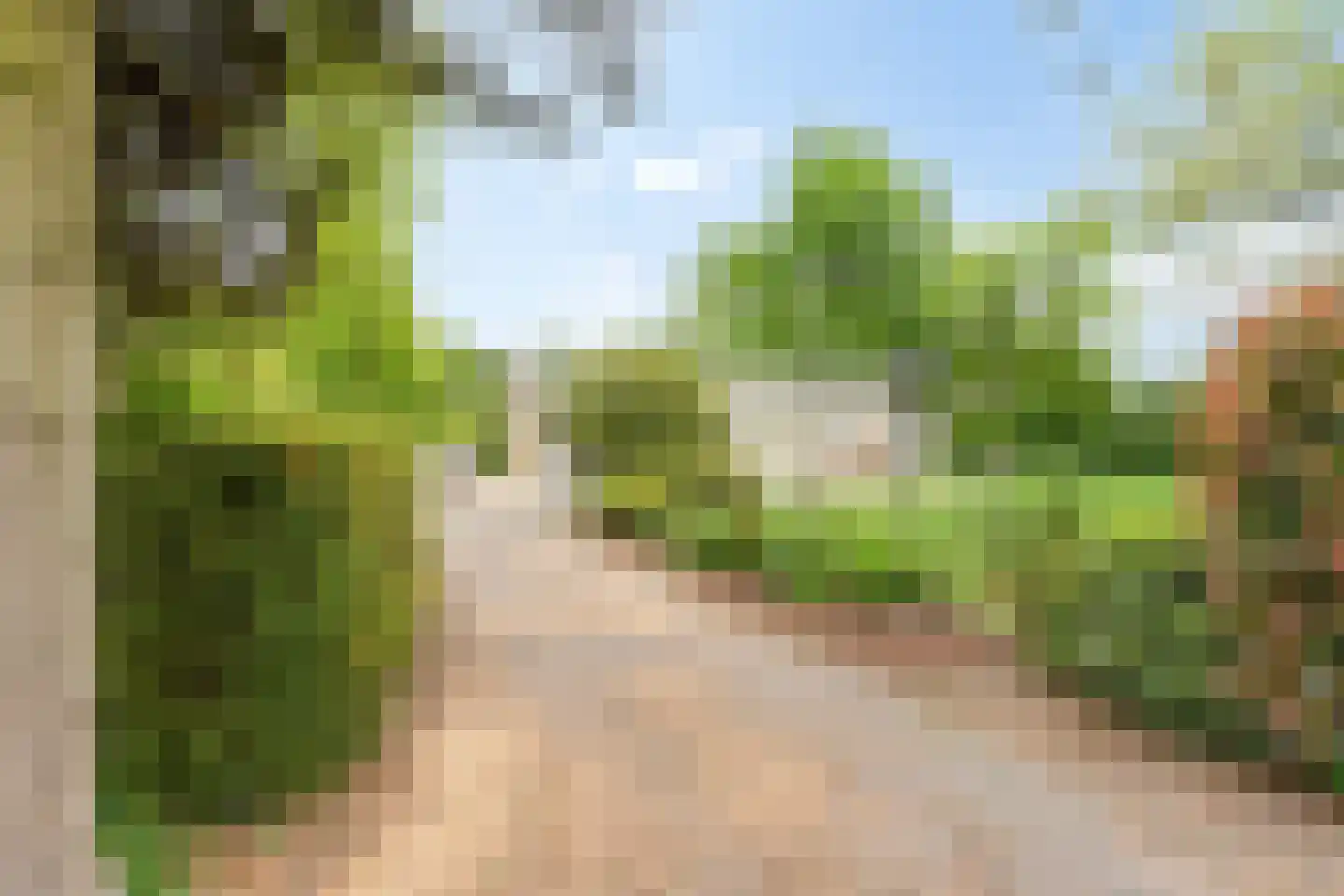Kievit 12 b 373 Baarle-Nassau thumbnail 18