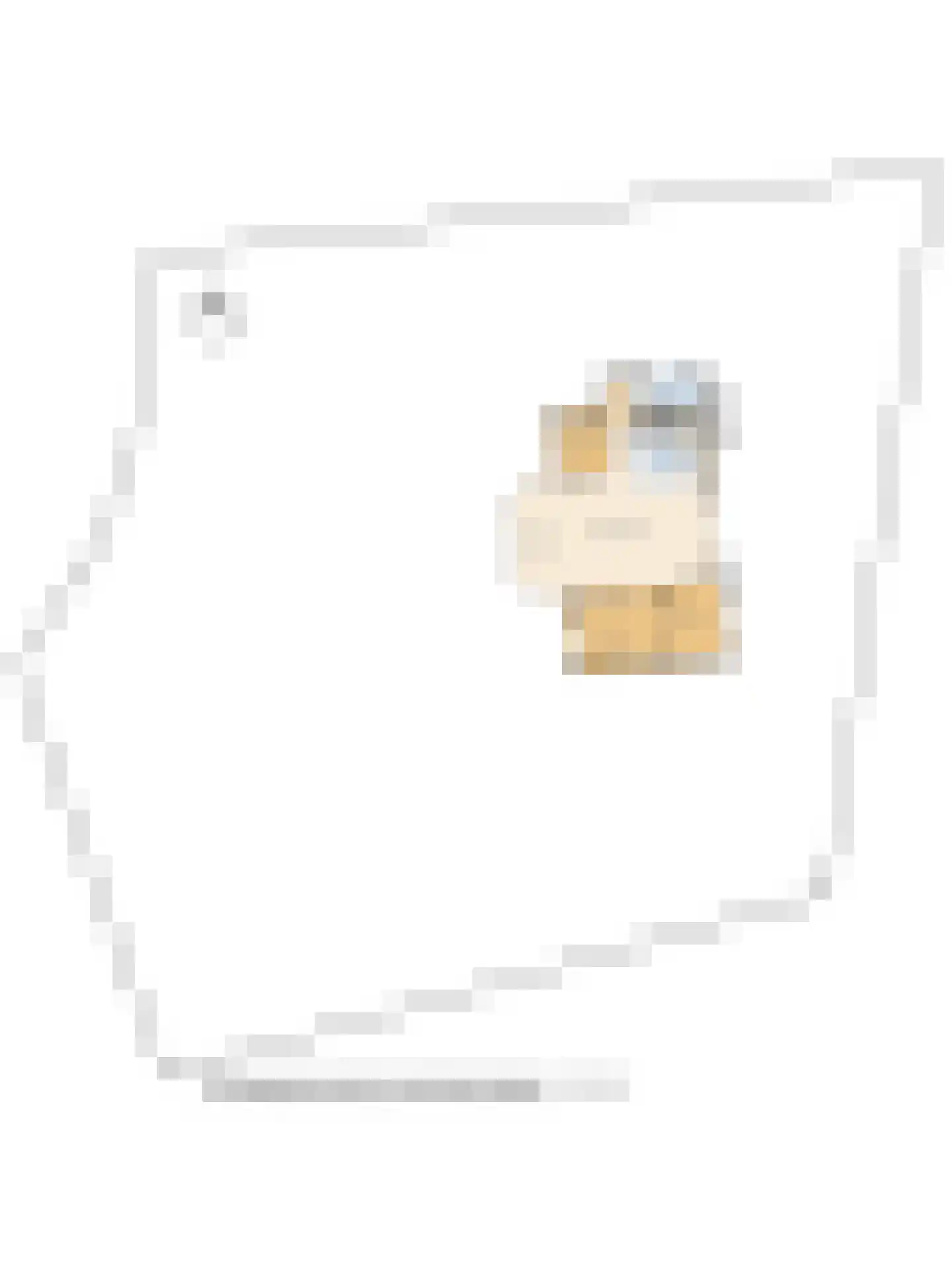 Kievit 12 b 373 Baarle-Nassau thumbnail 23