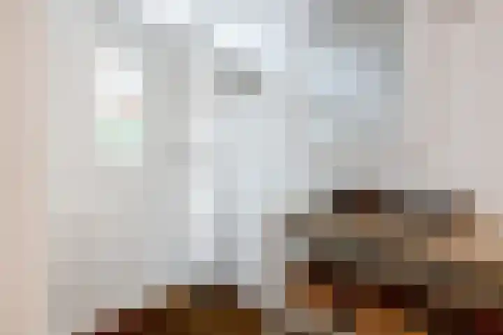 Kievit 12 b 378 Baarle-Nassau thumbnail 16