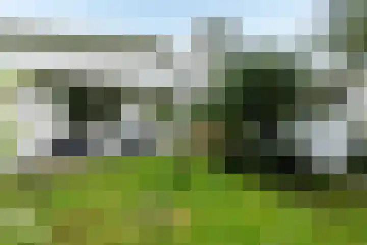 Kievit 12 b 378 Baarle-Nassau thumbnail 17