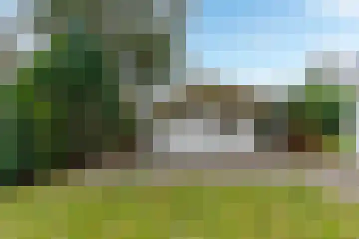 Kievit 12 b 378 Baarle-Nassau thumbnail 19