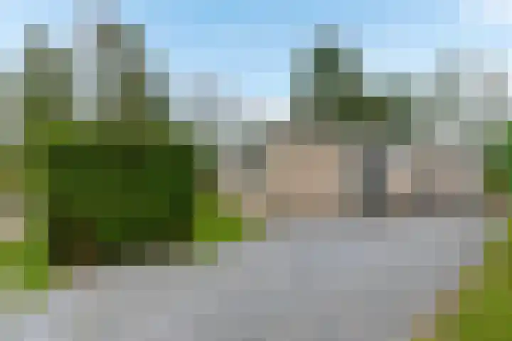 Kievit 12 b 378 Baarle-Nassau thumbnail 20