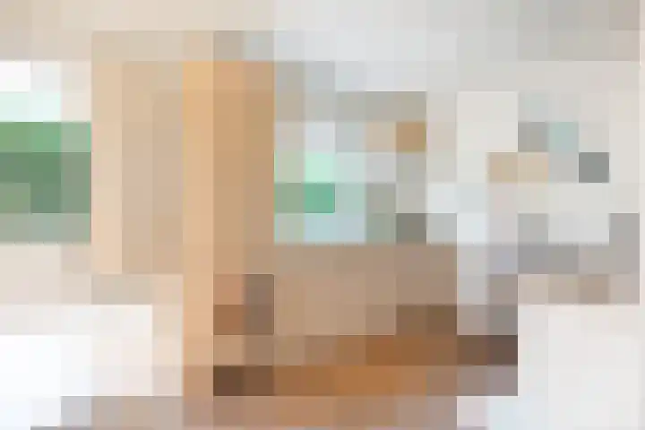 Kievit 12 b 378 Baarle-Nassau thumbnail 9