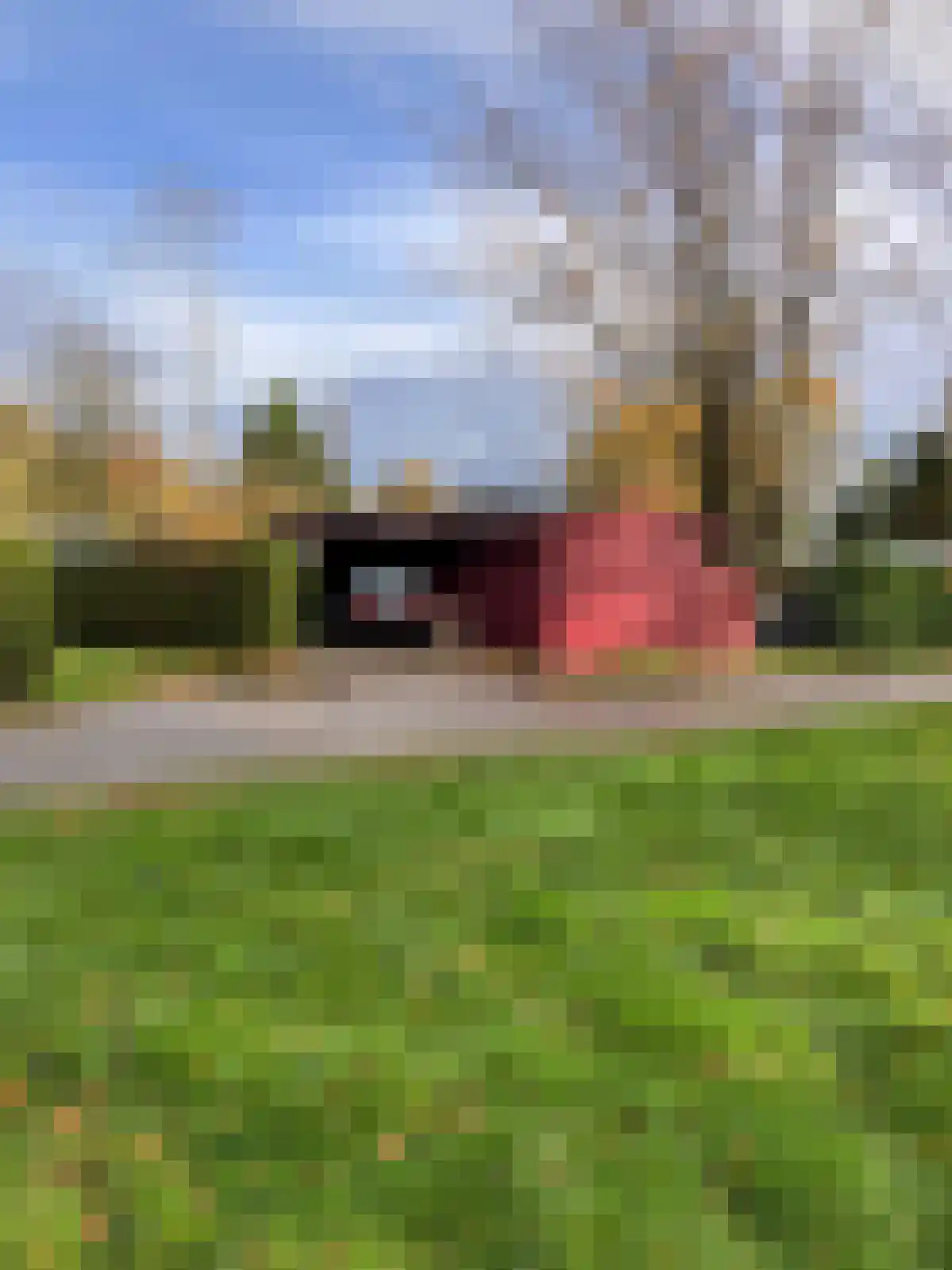 Kievit 12 b 421 Baarle-Nassau thumbnail 16