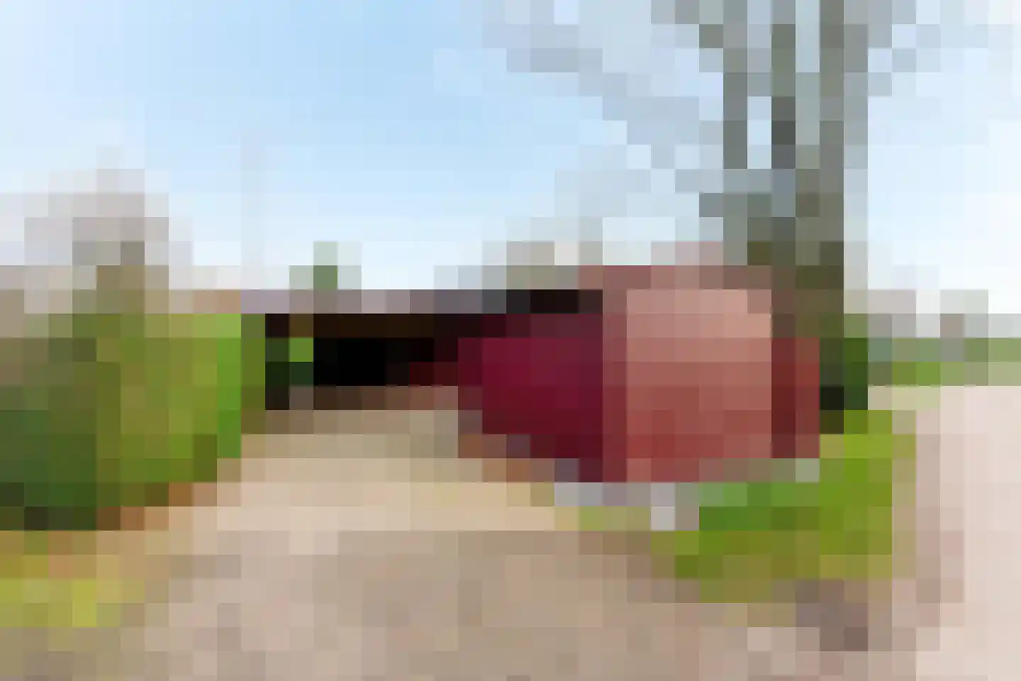 Kievit 12 b 421 Baarle-Nassau thumbnail 18