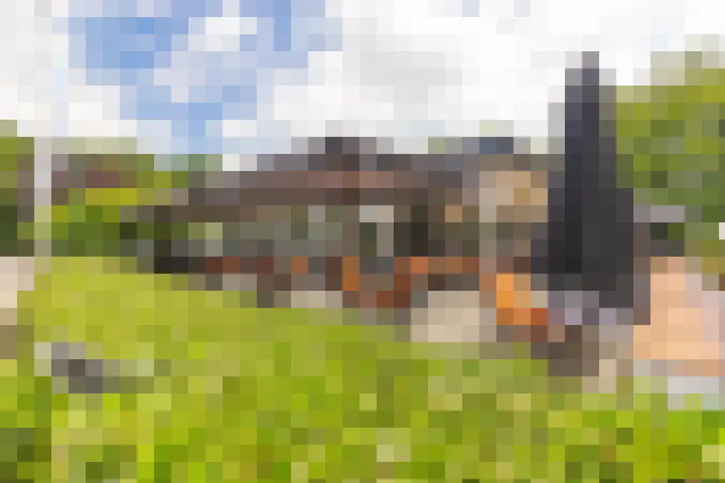 Kievit 12 b 423 Baarle-Nassau thumbnail 35