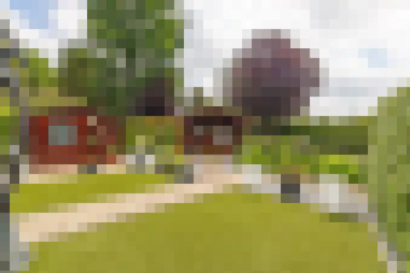 Kievit 12 b 423 Baarle-Nassau thumbnail 44