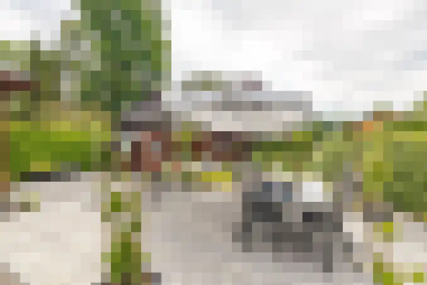 Kievit 12 b 423 Baarle-Nassau thumbnail 46