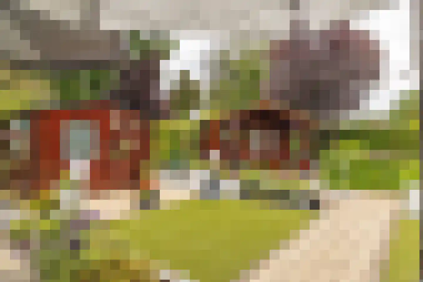 Kievit 12 b 423 Baarle-Nassau thumbnail 49