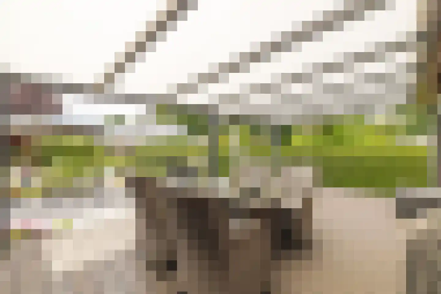 Kievit 12 b 423 Baarle-Nassau thumbnail 50