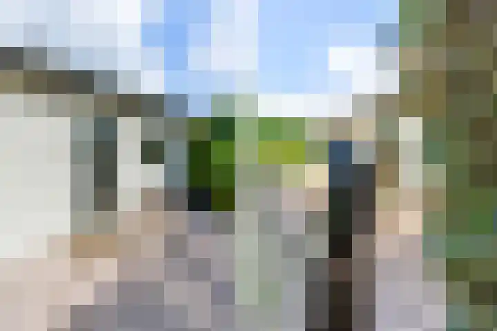 Kievit 12 b 484 Baarle-Nassau thumbnail 14