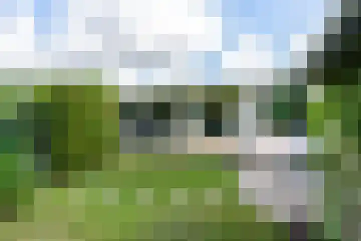 Kievit 12 b 484 Baarle-Nassau thumbnail 15