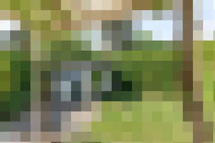 Kievit 12 b 484 Baarle-Nassau thumbnail 18