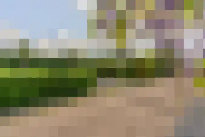 Kievit 12 b 484 Baarle-Nassau thumbnail 19