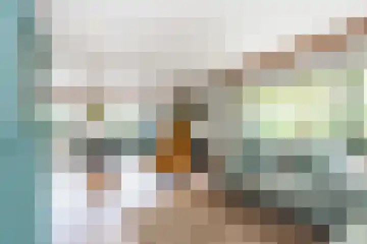 Kievit 12 b 484 Baarle-Nassau thumbnail 4