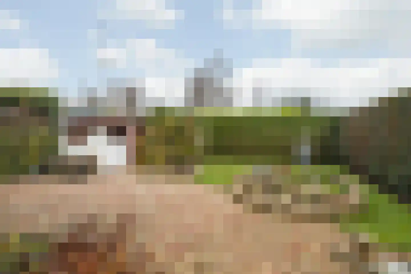 Kievit 12 b 489 Baarle-Nassau thumbnail 18