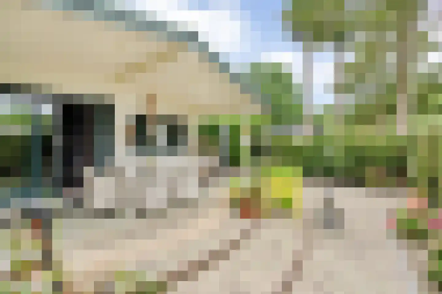 Kievit 12 b 510 Baarle-Nassau thumbnail 14