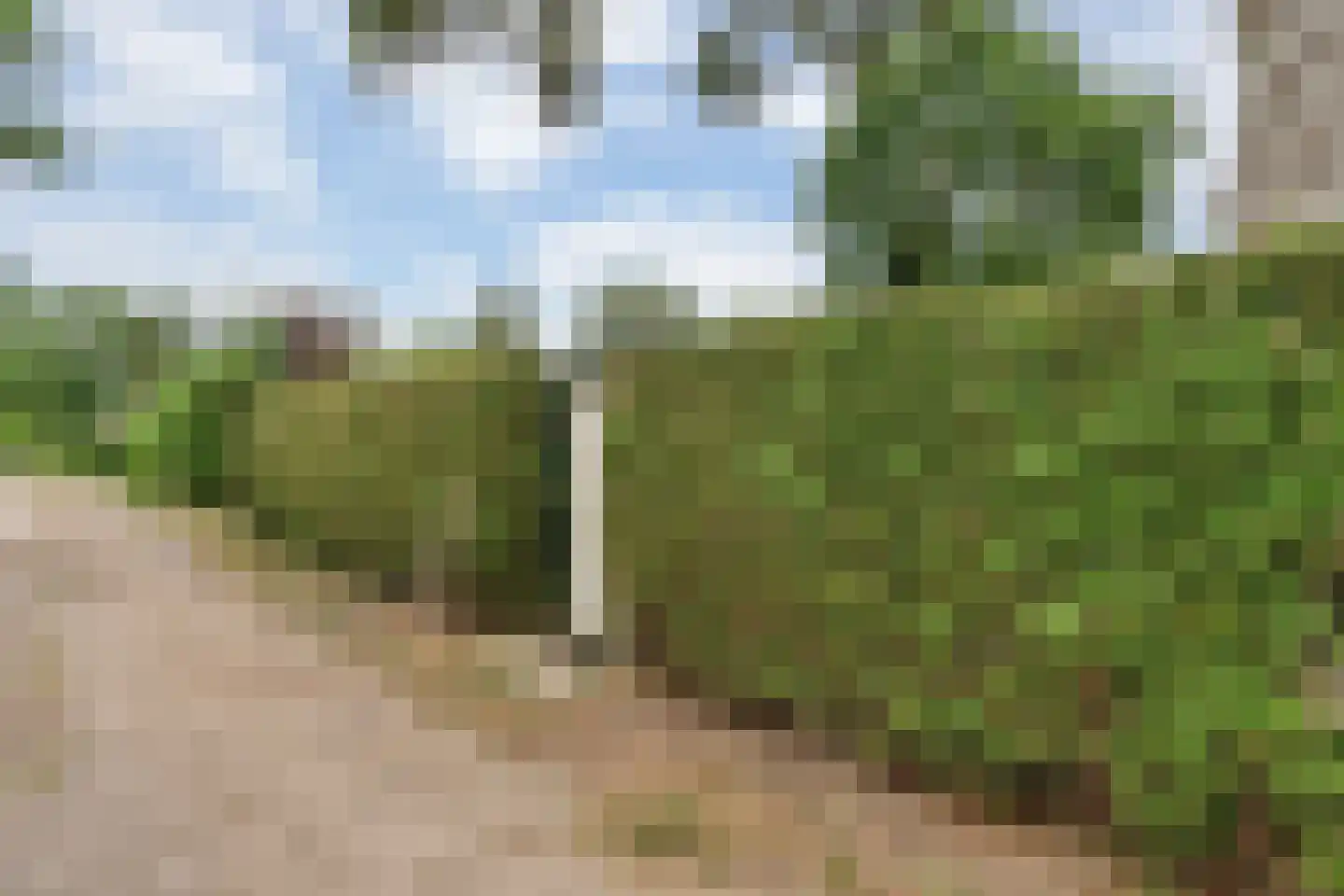 Kievit 12 b 510 Baarle-Nassau thumbnail 15