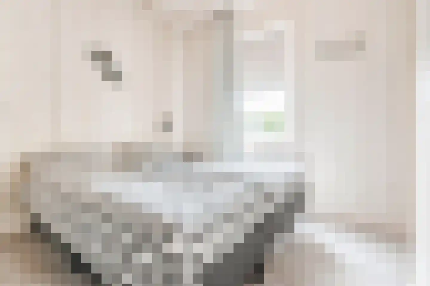 Kievit 12 b 549 Baarle-Nassau thumbnail 14