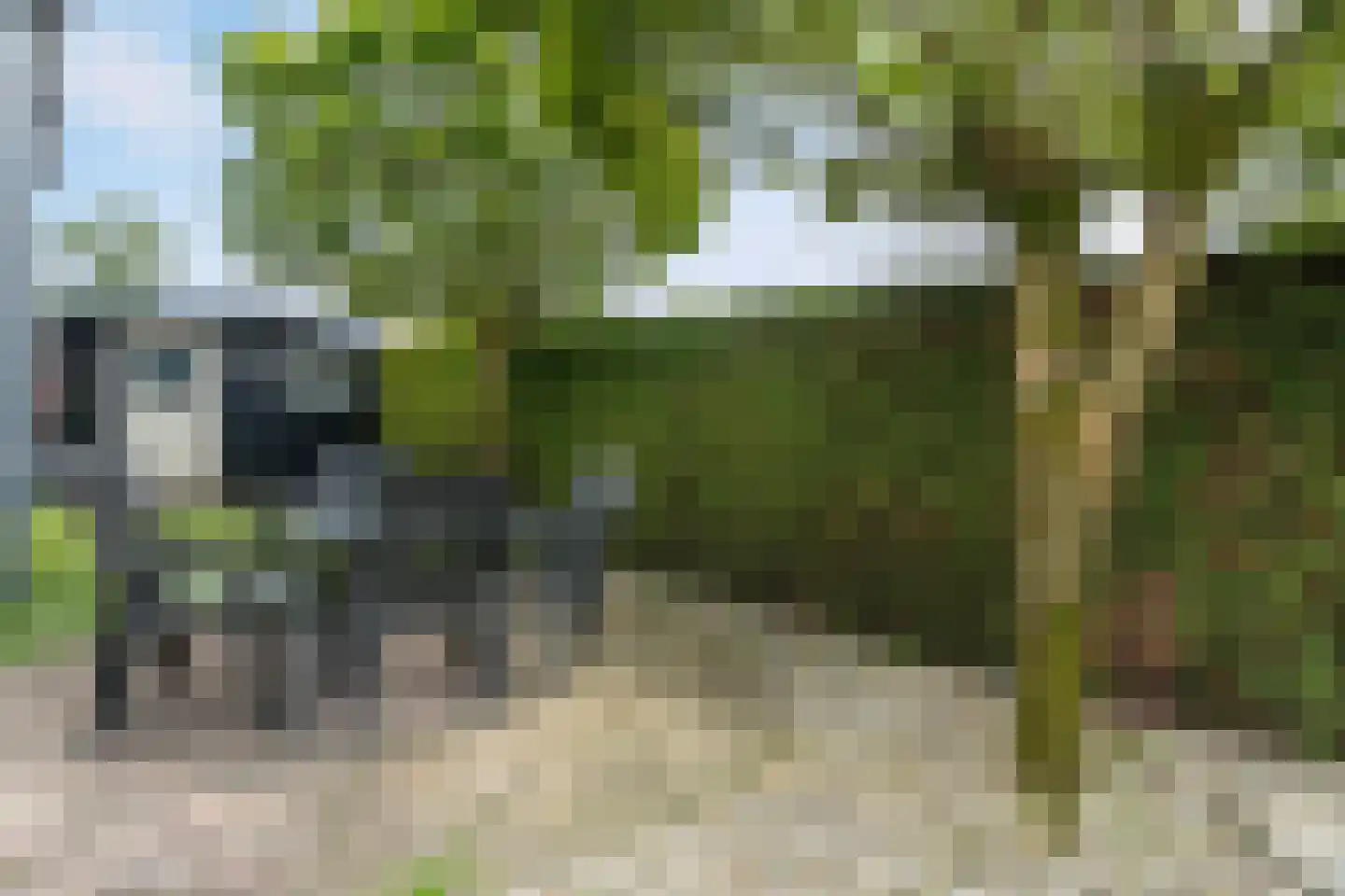 Kievit 12 b 549 Baarle-Nassau thumbnail 19