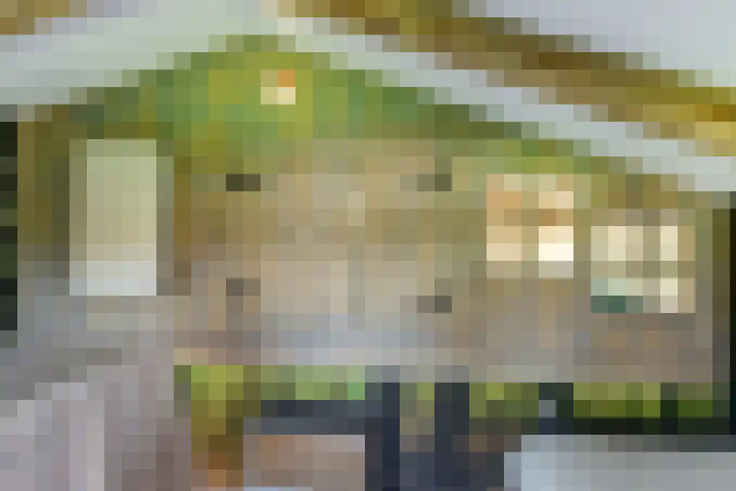 Kievit 12 b 569 Baarle-Nassau thumbnail 31