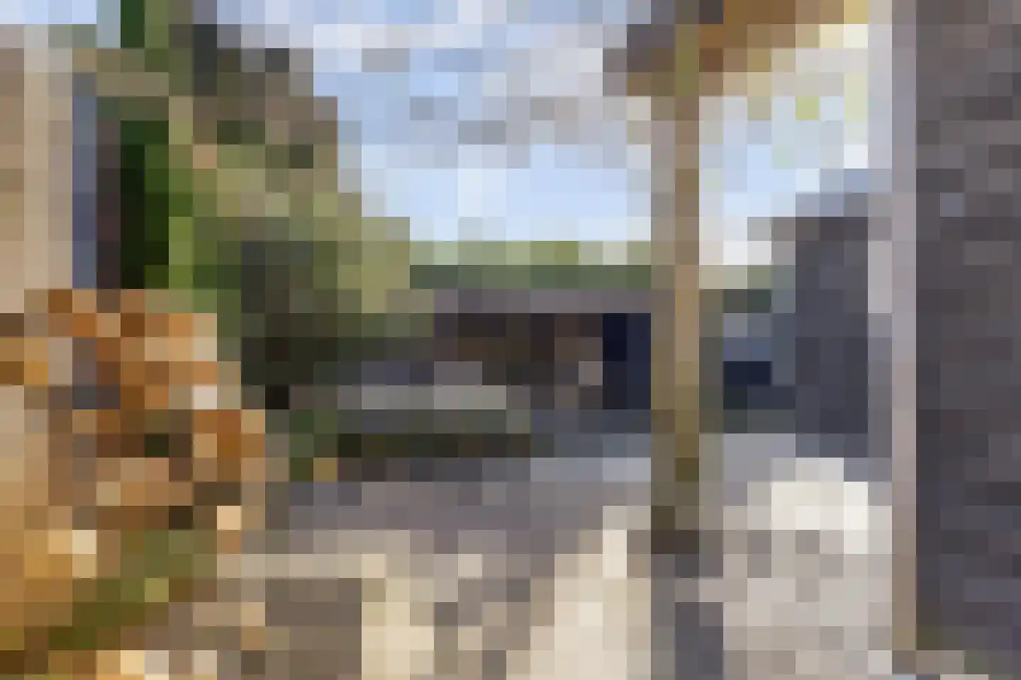 Kievit 12 b 569 Baarle-Nassau thumbnail 39