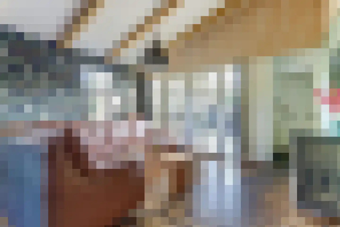 Kievit 12 b 569 Baarle-Nassau thumbnail 5