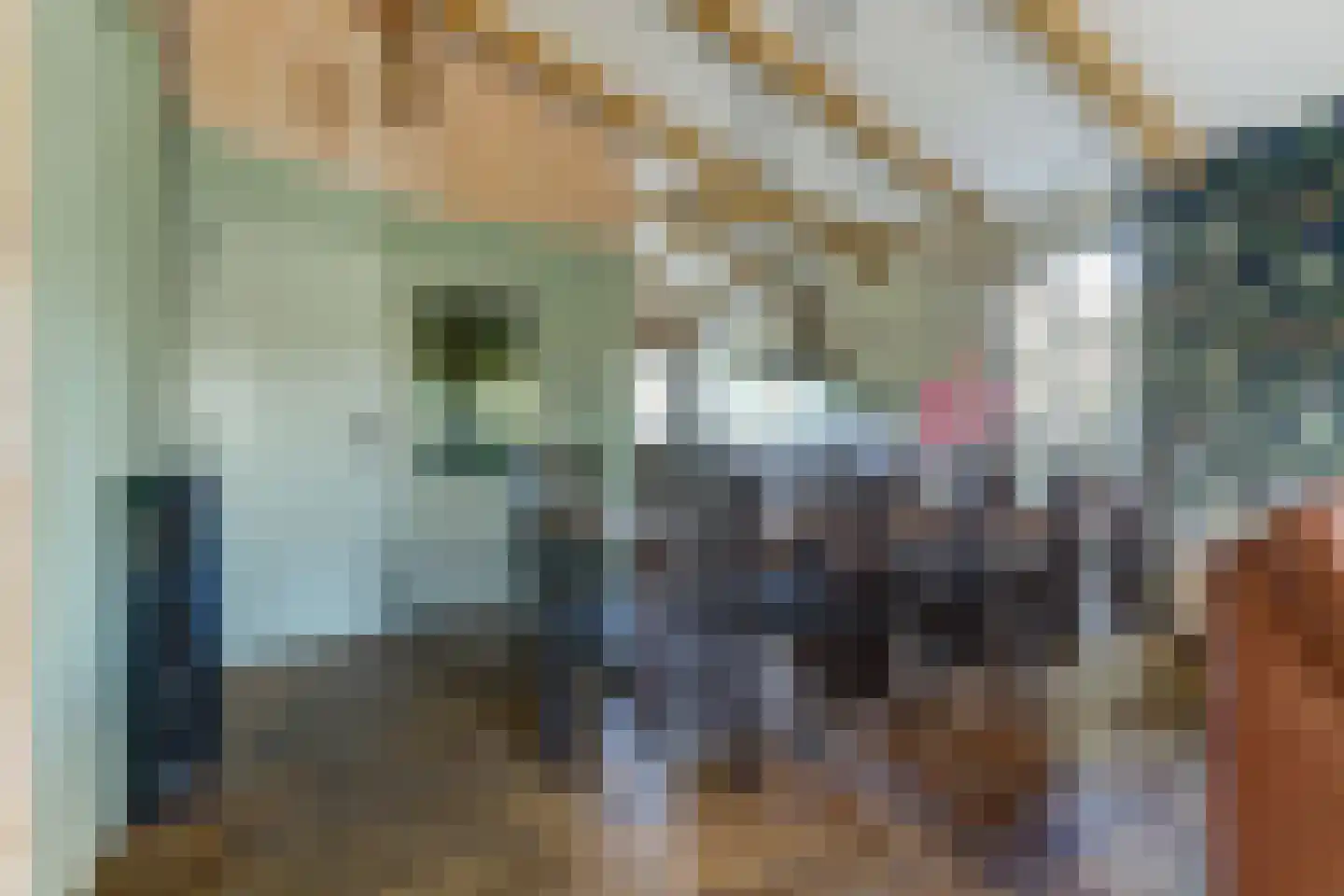 Kievit 12 b 569 Baarle-Nassau thumbnail 9
