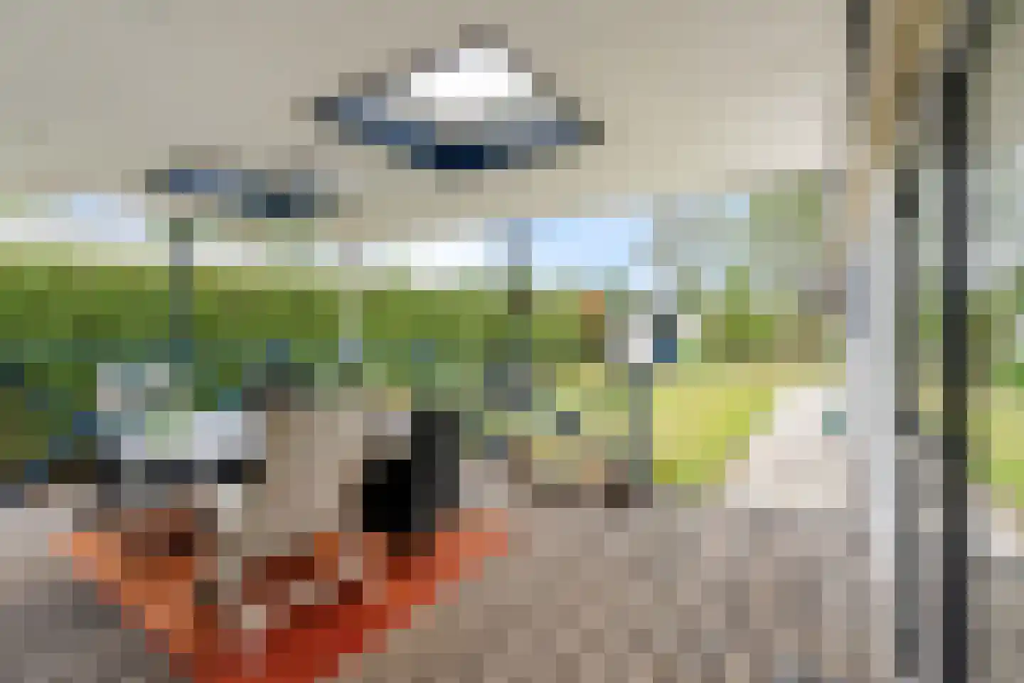 Kievit 12 b 573 Baarle-Nassau thumbnail 13