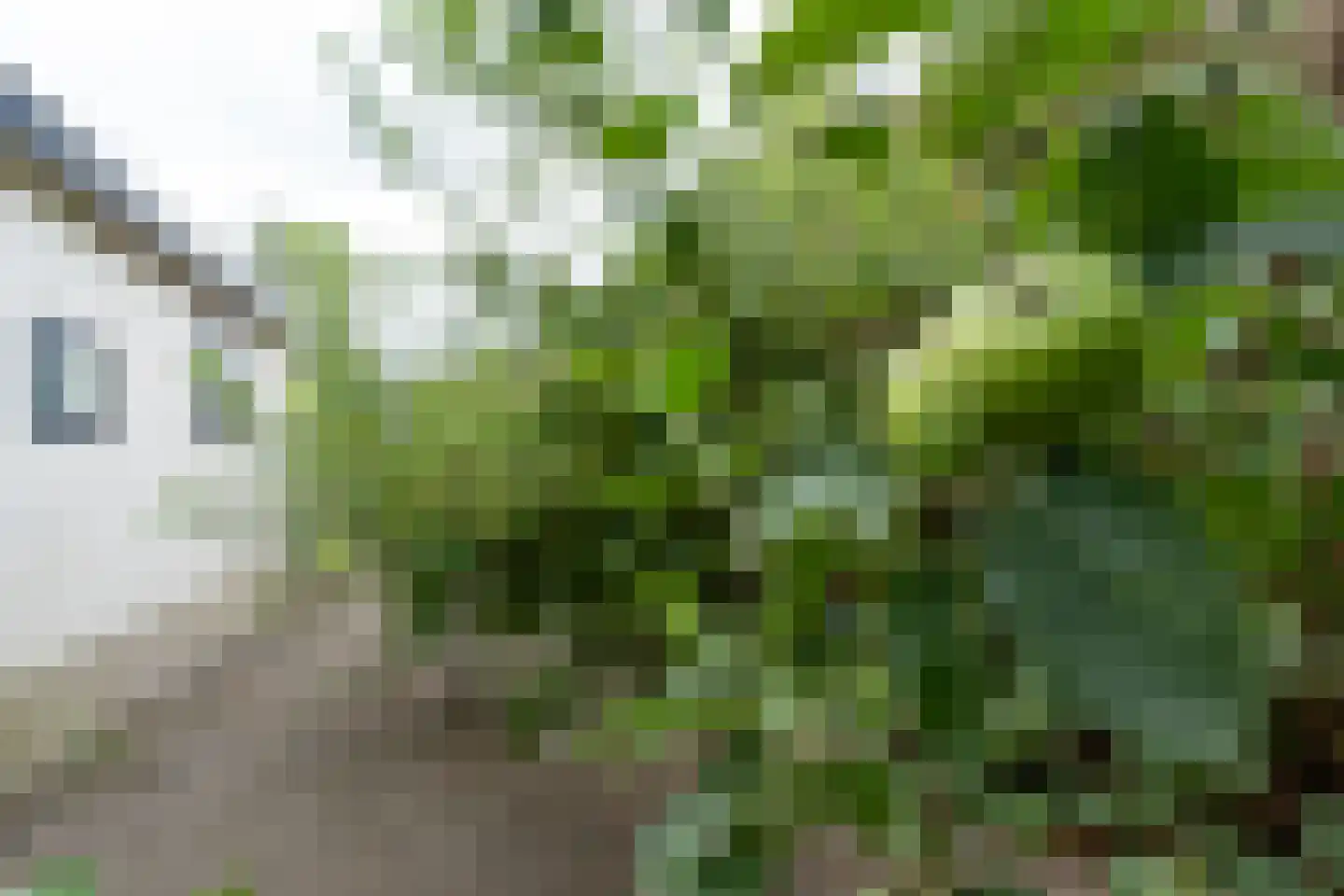 Kievit 12 b 573 Baarle-Nassau thumbnail 16