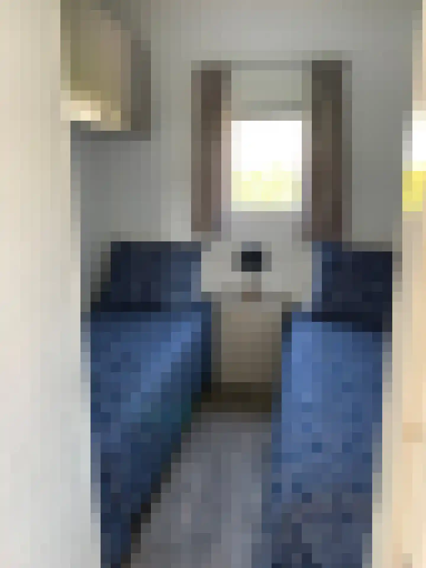 Kievit 12 b 578 Baarle-Nassau thumbnail 16