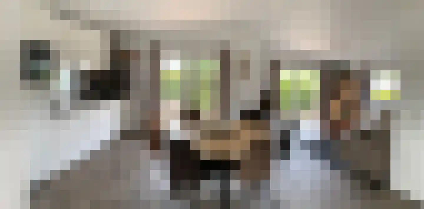 Kievit 12 b 578 Baarle-Nassau thumbnail 8